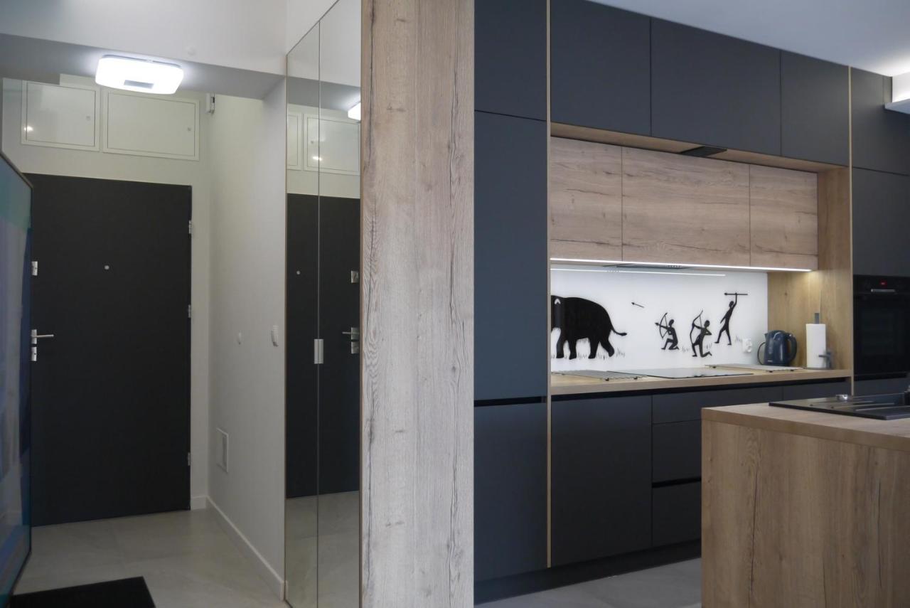 Nowy Apartament Zygmunta Premium Гливице Экстерьер фото